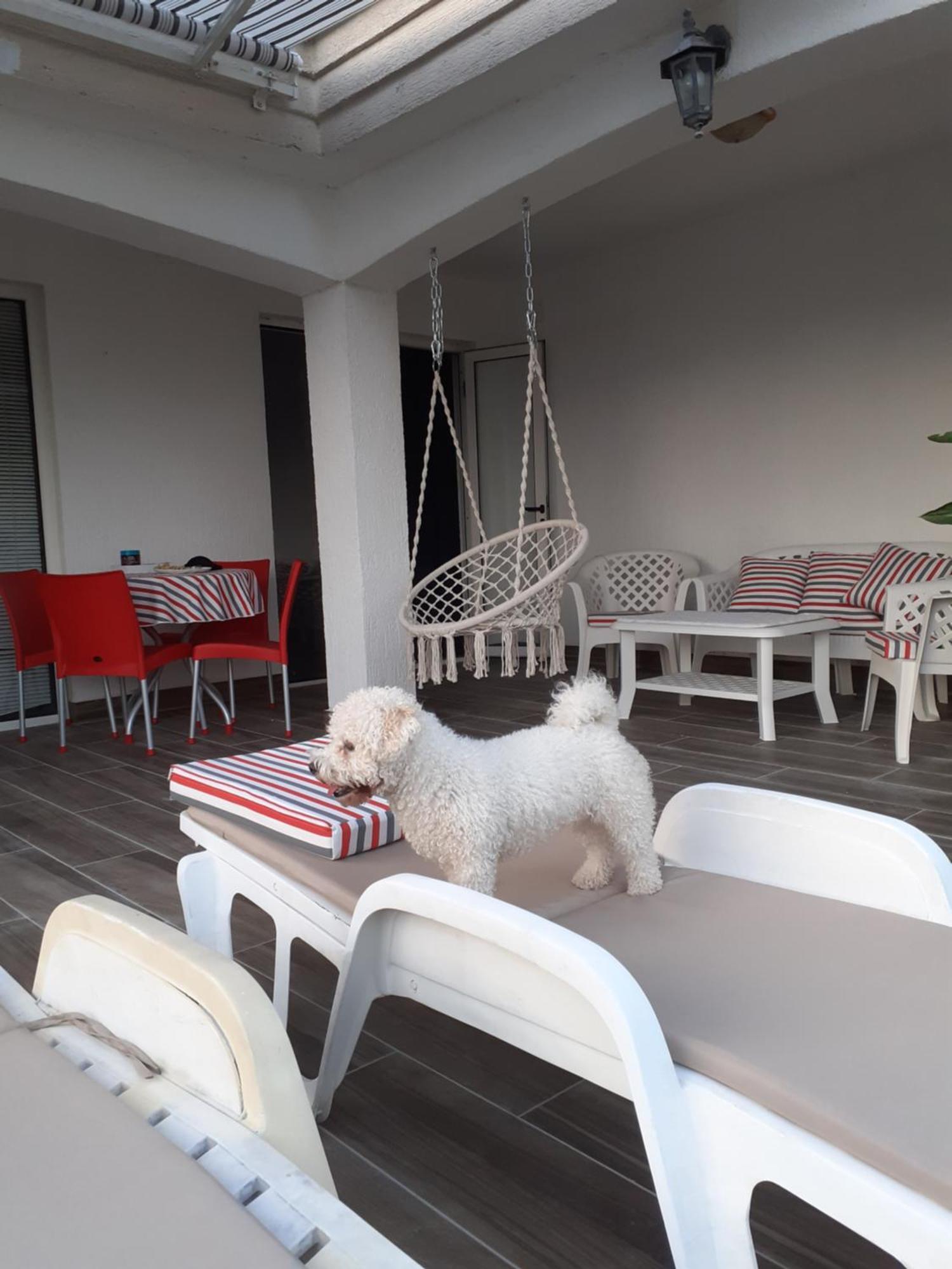 Guest House Cvoro Herceg Novi Oda fotoğraf